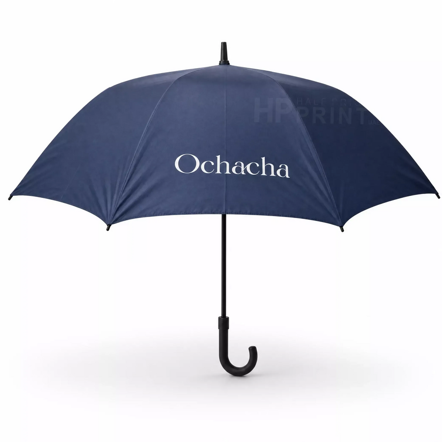 Handheld Umbrella