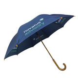 Handheld Umbrella