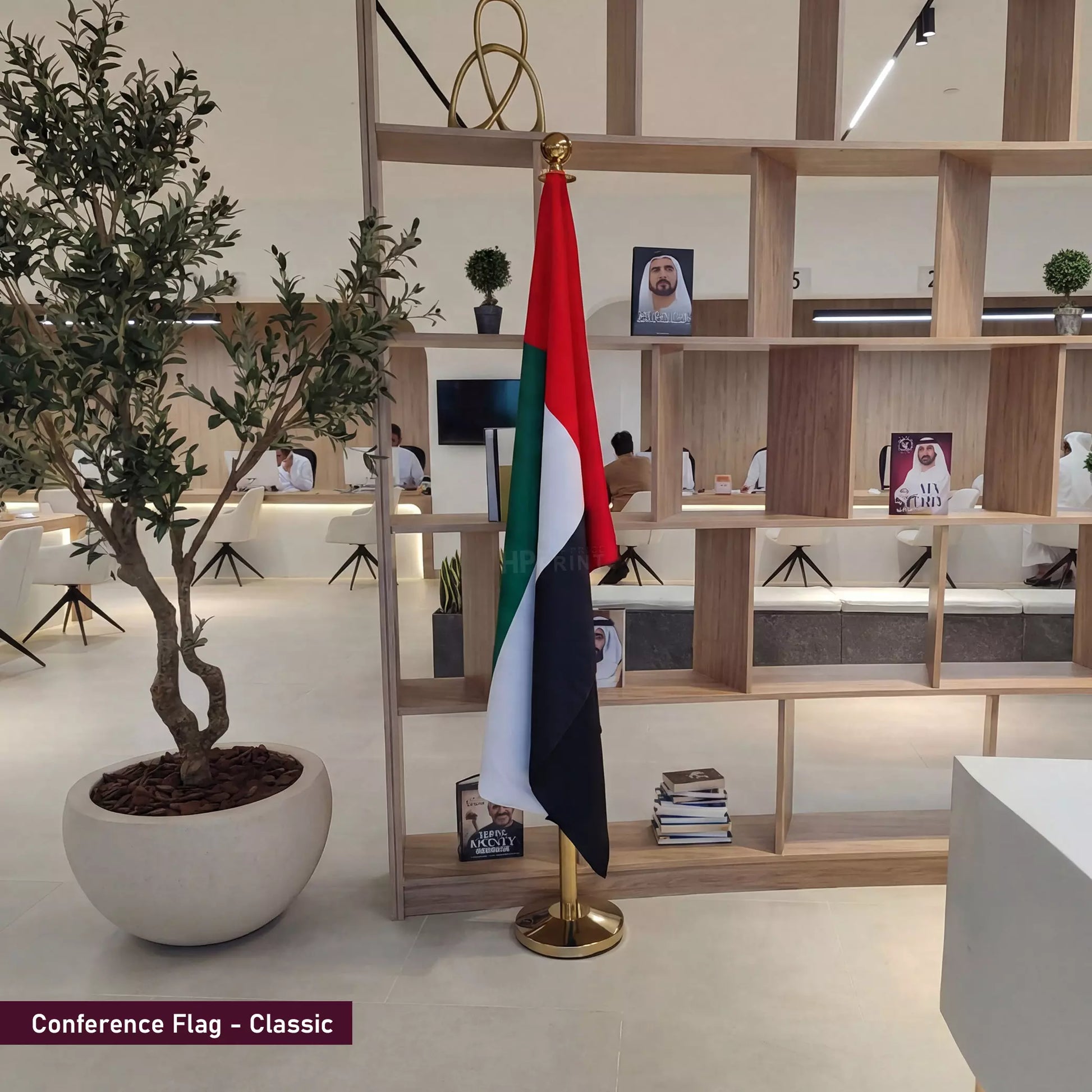 Flag of the United Arab Emirates on a stand in an office setting with bookshelves and plants.